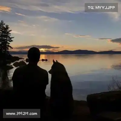 罗楚焱